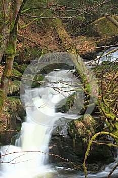 Mountain stream