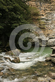 Mountain stream in Abhazia