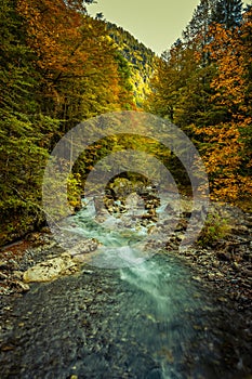 Mountain stream in the AllgÃ¤u Alps