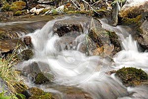 Mountain stream in the Altai Republic. Water runs over rocks, close up