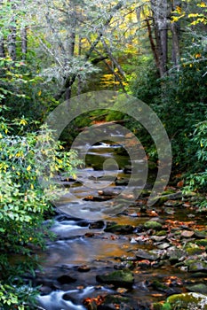 Mountain Stream Art photo