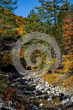 Mountain Stream in Autumn