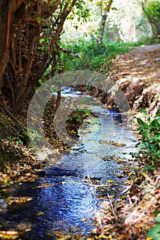 Mountain stream in autumn