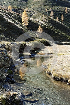 Mountain Stream in Autumn