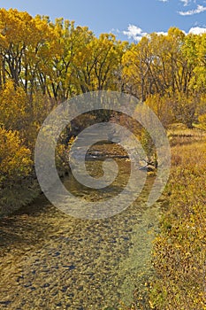 Mountain Stream in Autumn Colors