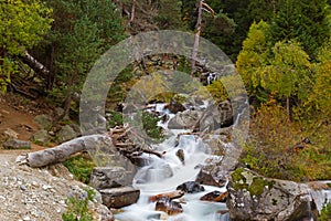 Mountain stream autumn forest