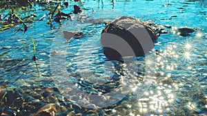 Mountain Stream with Big Boulder, Green Plants, Pebble and Bright Sunny Sparkles on the Surface. Summer Afternoon