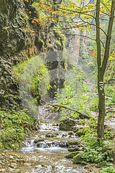 Rocky gorge of Dolne diery in the Mala Fatra, Slovakia