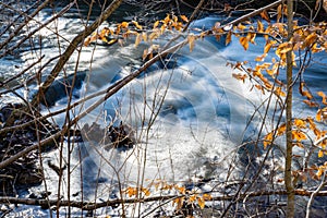 Mountain Stream in the Blue Ridge Mountains