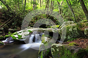 Mountain Stream Cascade Great Smoky National Park Tennessee