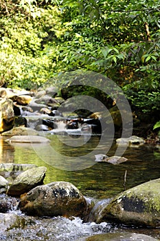 Mountain stream