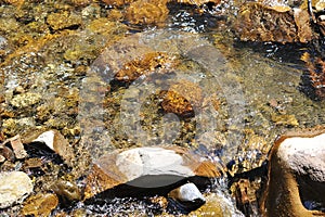 Mountain stream with clear cold water in the mountains