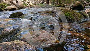 Mountain stream with cold clear water. The river flows over the stones