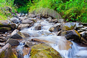 Mountain stream& x28;creek& x29; in the stones