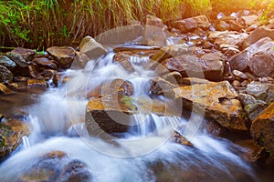 Mountain stream creek in the stones and green grass banks in mountain forest