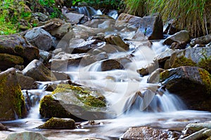 Mountain stream creek in the stones and green grass banks in mountain forest