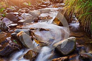 Mountain stream creek in the stones and green grass banks in mountain forest