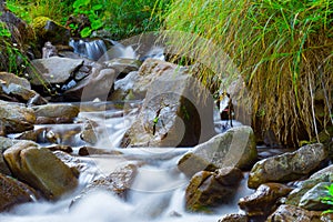 Mountain stream creek in the stones and green grass banks in mountain forest