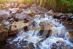 Mountain stream creek in the stones and green grass banks in mountain forest