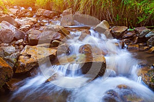 Mountain stream creek in the stones and green grass banks in mountain forest