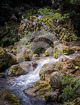 Mountain stream/ mountain creeks photo