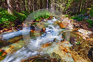 Mountain stream with crystal clear water in the forest and sun shining through the trees