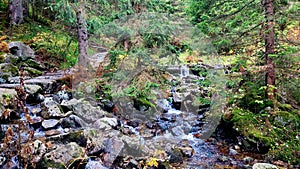 A mountain stream deep in the mountains