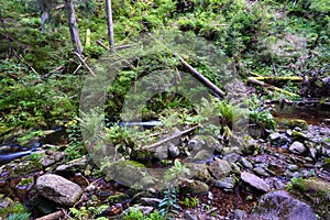 Mountain stream in a deep rocky valley