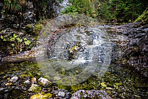 Mountain stream Demanovka in valley called Dolina Vyvieranie at Slovakia