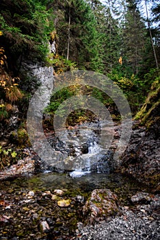 Mountain stream Demanovka in valley called Dolina Vyvieranie at Slovakia