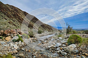 Mountain stream in the desert, Anza-Borrego Desert State Park, California, USA