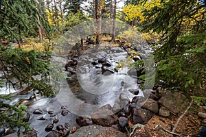 Mountain stream in the fall colors