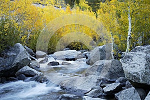 Mountain Stream, Fall Colors