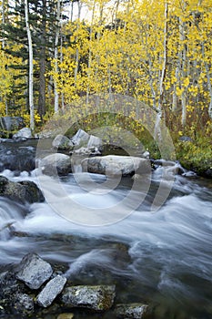 Mountain Stream, Fall Colors