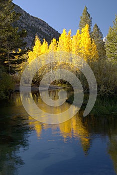 Mountain Stream, Fall Colors photo