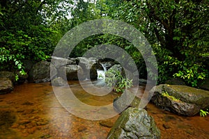 Mountain stream in the monsoons