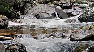 Mountain Stream Flowing Through the Boulders