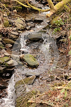 Mountain stream flowing over the rocks
