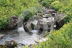 Mountain stream flowing between stones