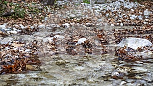 Mountain stream flowing between the stones and greeted with brown autumn leaves
