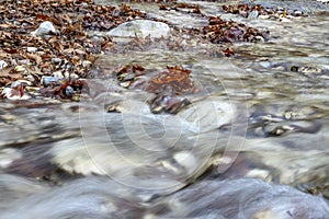 Mountain stream flowing between the stones and greeted with brown autumn leaves