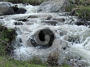 A mountain stream flows between rocks. On bank, grass, trees grow, flowers bloom