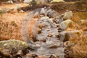 Mountain stream in the foggy day