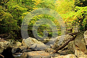 Mountain stream footbridge