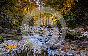 Mountain stream in forest in fall colors with rocks and fallen leaves in the foreground