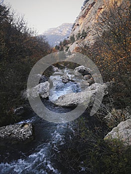 Mountain stream in forest landscape at spring.Forest Crimean landscape
