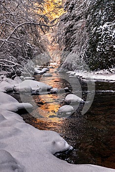 Mountain stream fresh snow, Appalachian Mountains