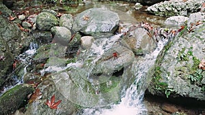 Mountain stream gently flows over stones, serene nature scene. Close-up of mountain stream, water caressing stones