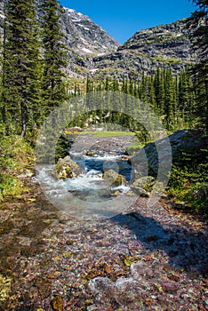 Mountain stream in Glacier National Park.