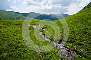 Mountain stream on the green meadow